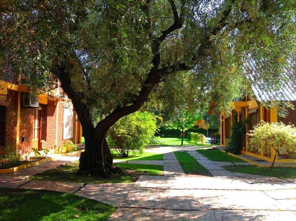 Cabañas Calderón I San Rafael (Mendoza) Exterior foto